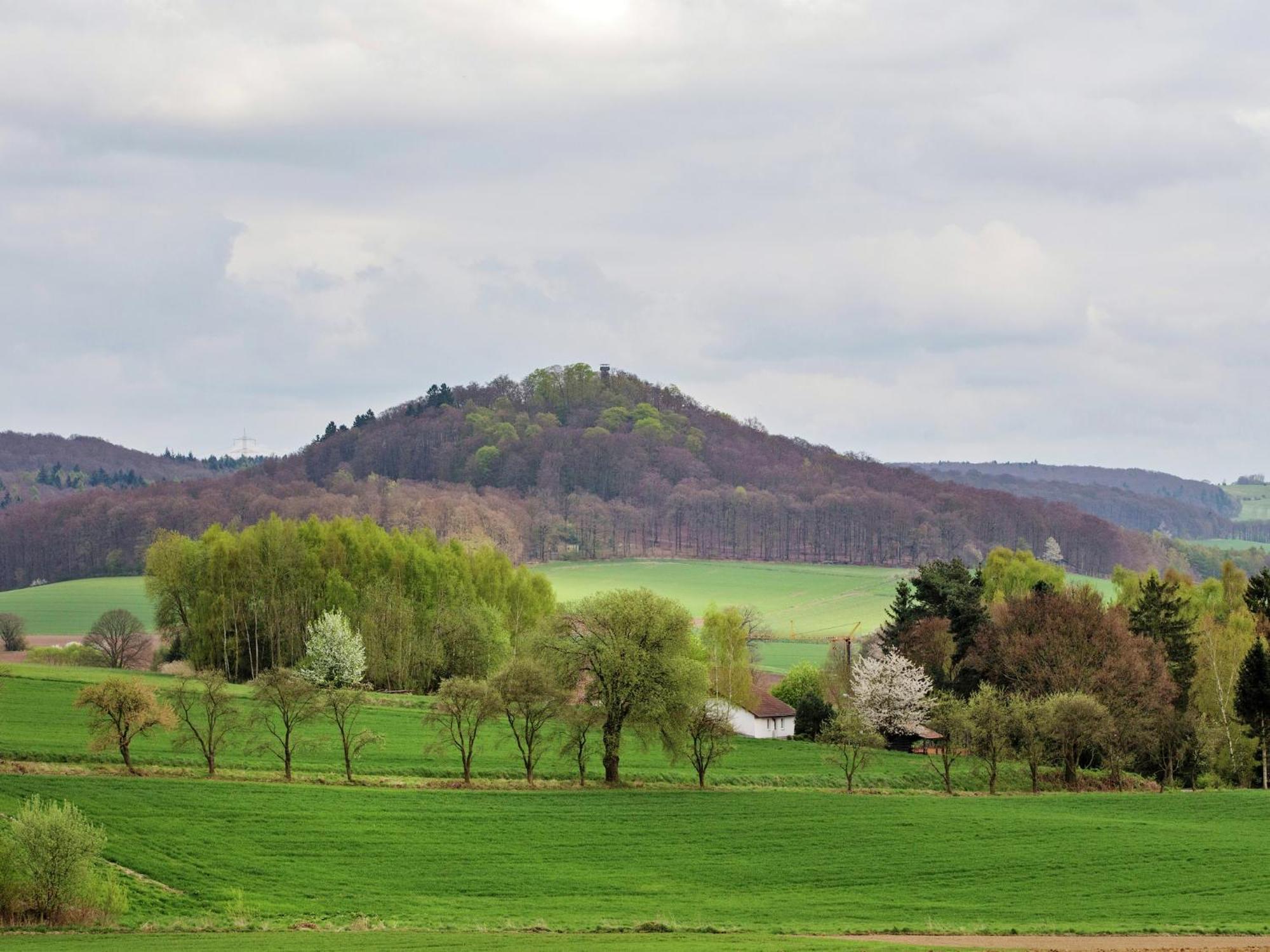 Large Detached Holiday Home In Hesse With Private Garden And Terrace Homberg  Luaran gambar